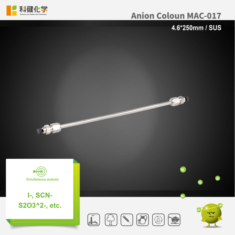 Load image into Gallery viewer, Anion column MAC-017 (4.6*250mm)(made by SUS）
