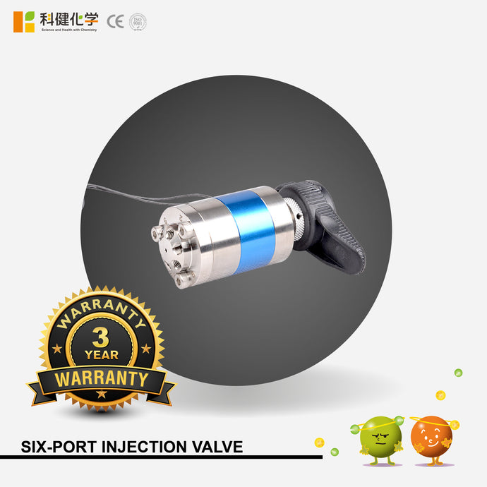 Six-port injection valve