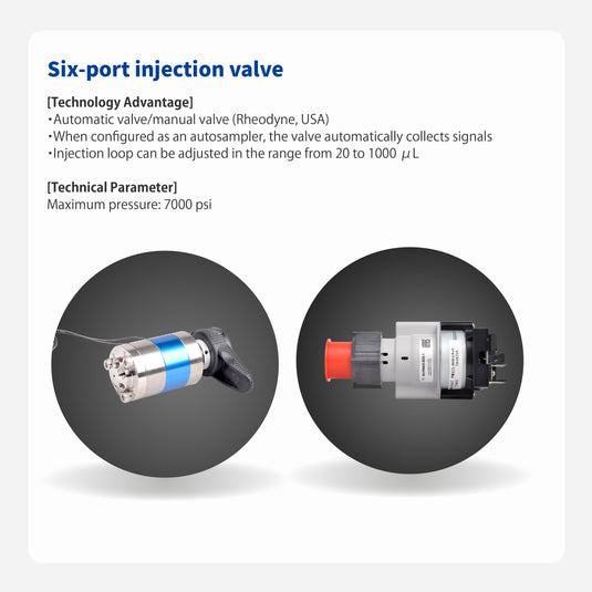 Six-port injection valve