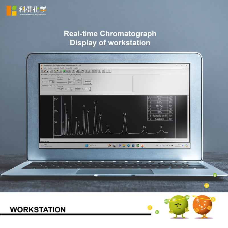 Load image into Gallery viewer, Setup2: SHC-IC010_Autosampler_software_eluent generator
